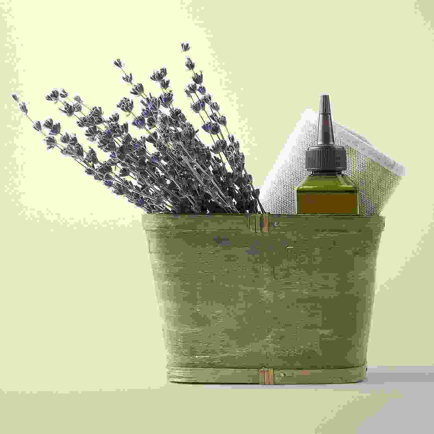 green wood basket green wood basket