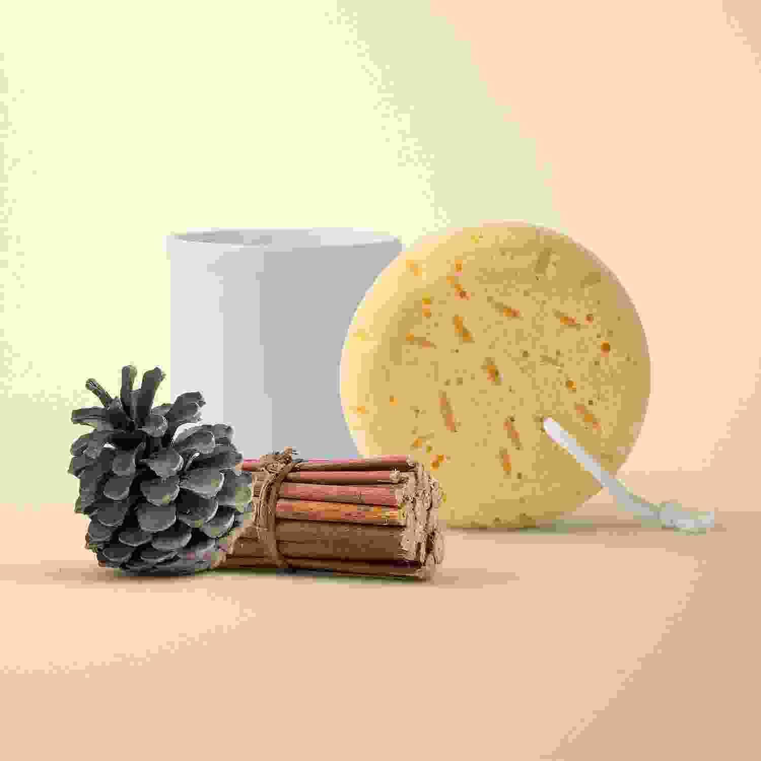 sponge and clove pack sponge and clove pack